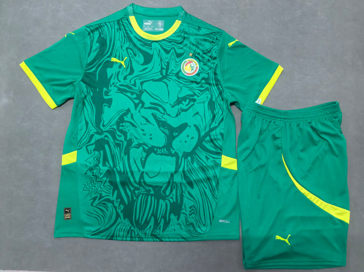 2025/26 Senegal Away Kit