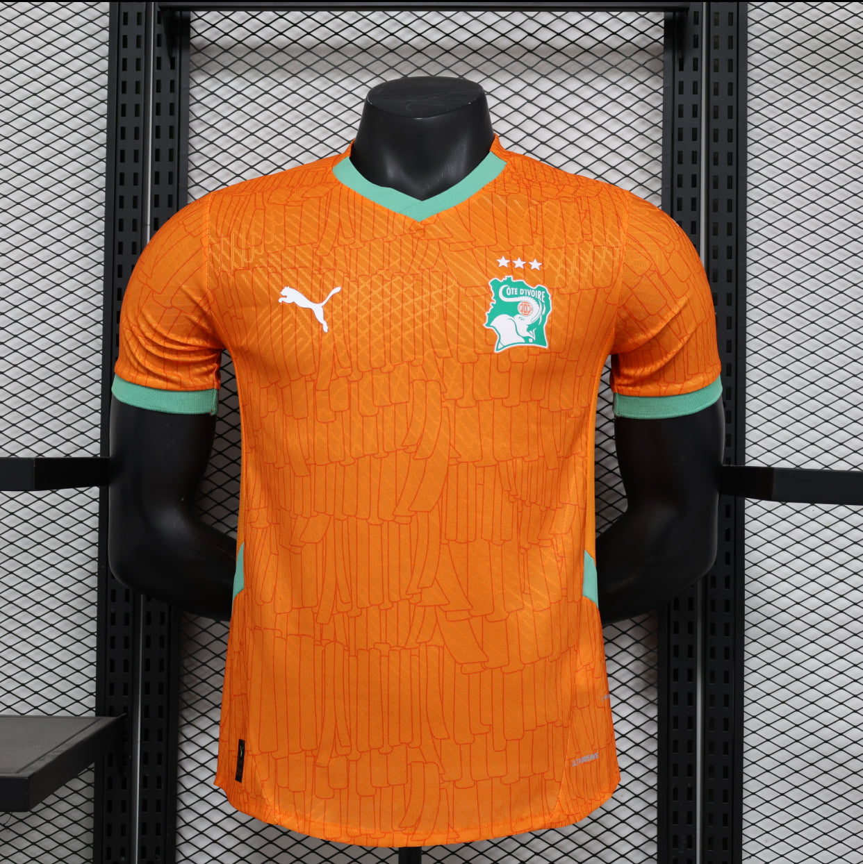 2025/26 Ivory Coast (Player Version)